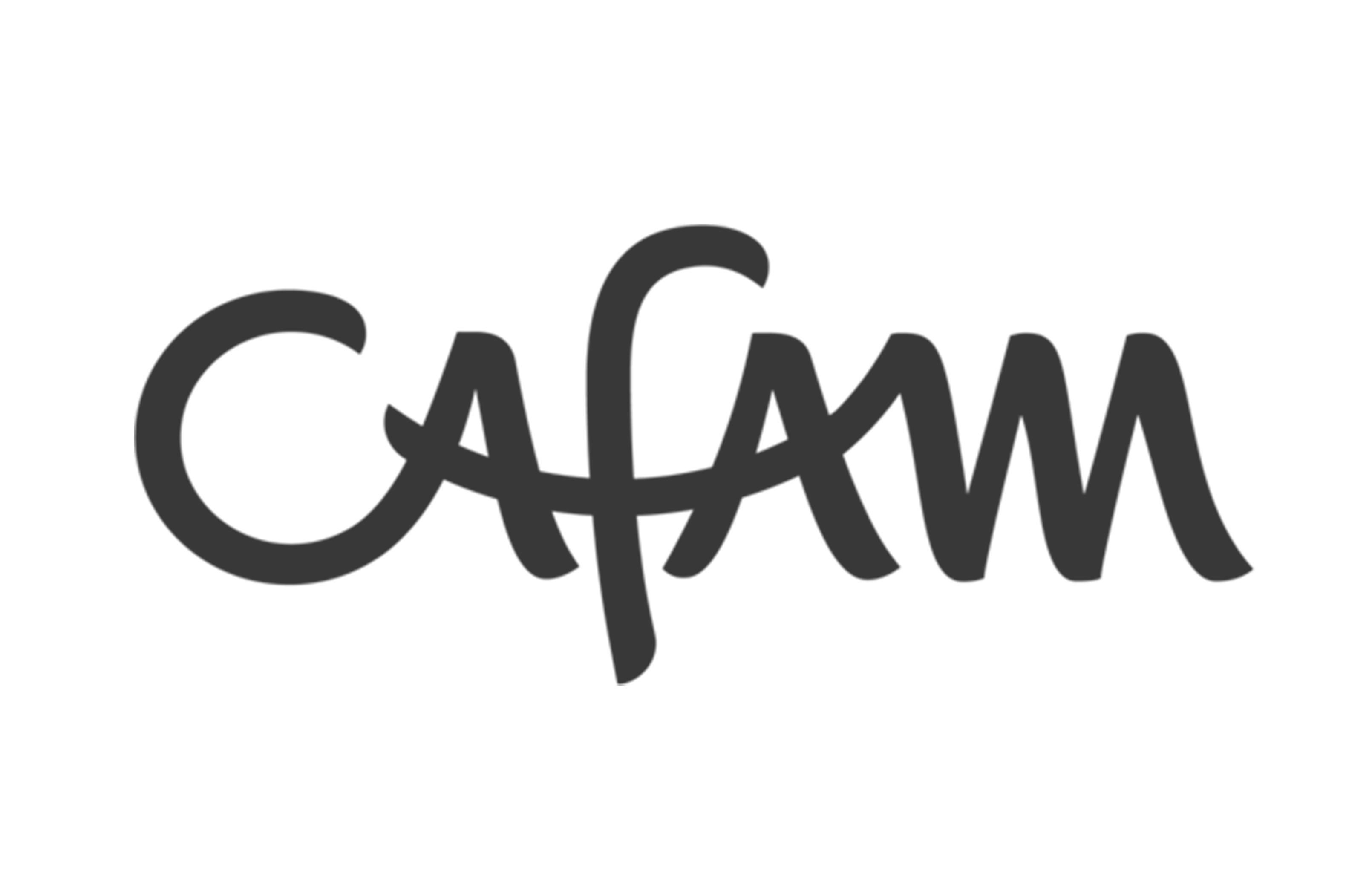 Logo de Cafam